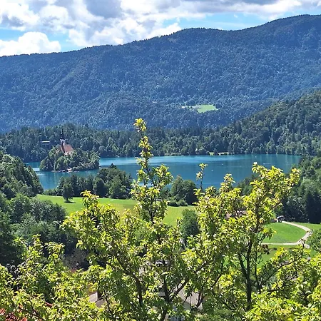 Apartman Magic Island View *